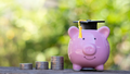 Higher Education Fund